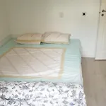Apartment In Easy Accessible New Near Stave Church