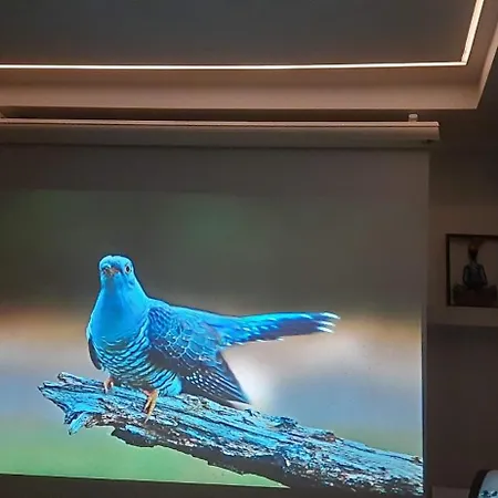 In Easy Accessible New Near Stave Church ברגן